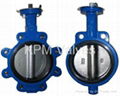 Butterfly Valve 2