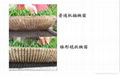 黑龙江哈尔滨毯式秧盘 2