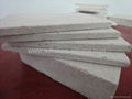 wood fibre reinforced gypsum board  5