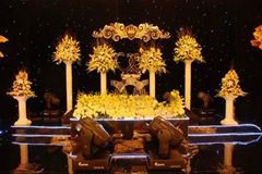 Good quality   led star curtain 