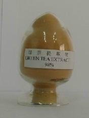 tea polyphenol 98，green tea extract