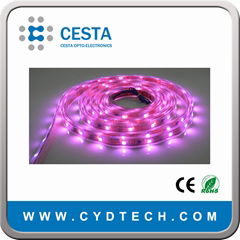 led flexible ribbon strip light