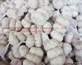 Garlic 250g 500g 1000g 2