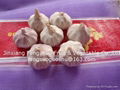 2012 Garlic 1