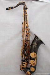 Black nickel alto saxophone 