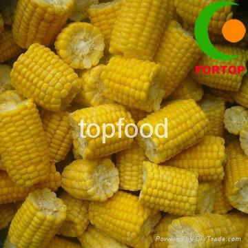 Canned Sweet Corn 2