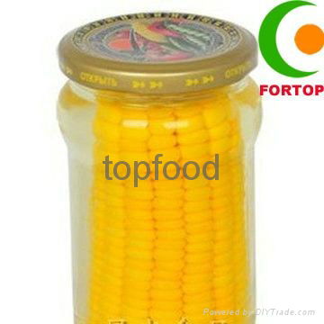 Canned Sweet Corn 5