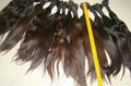 Virgin natural raw human hair braids 5