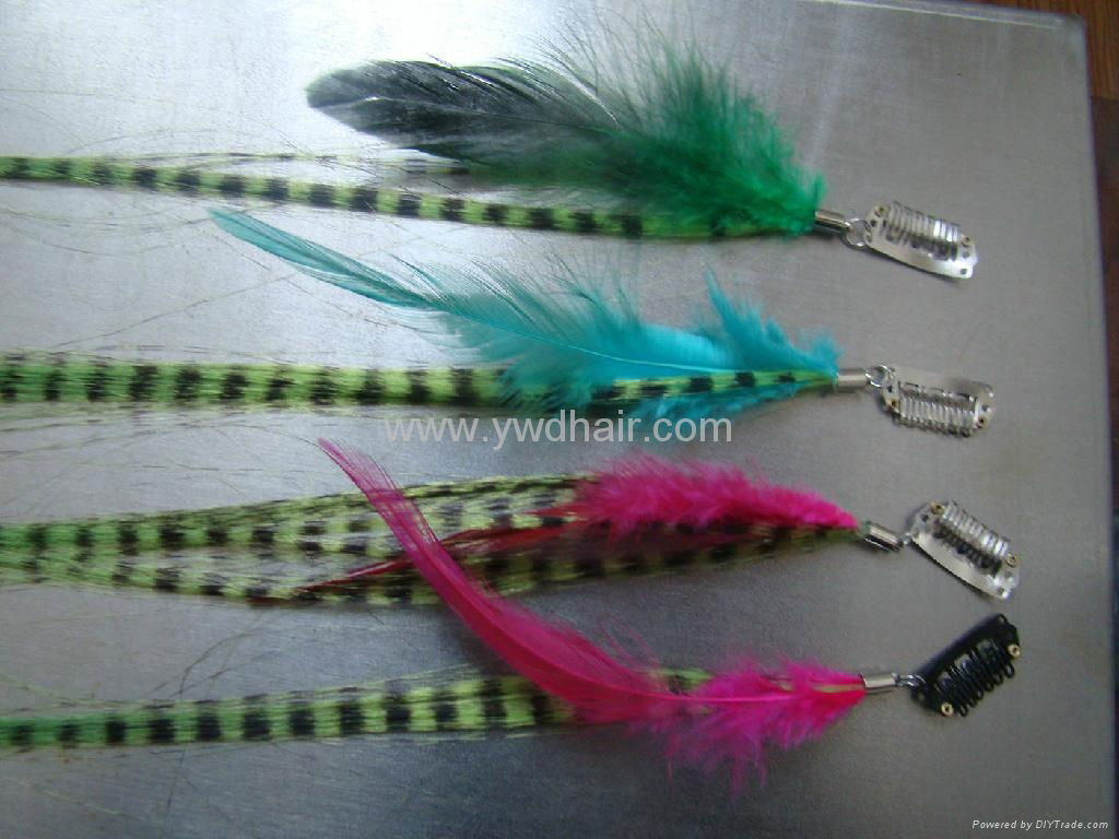 Feather hair extension  3