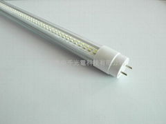 T8LED Tube