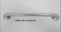 Stainless Exposed screw Grab Bar 1