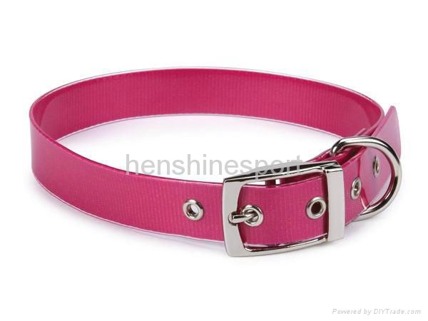 TPU dog collar