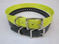 Waterproof dog collar 2