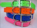 Waterproof dog collar 3