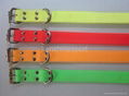 Pvc dog collar 1