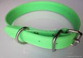 Pvc dog collar 5