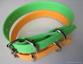 Fluorescent dog collar 2