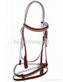 PVC horse bridle 1