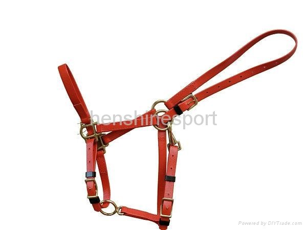 PVC horse bridle 2