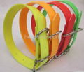 Fluorescent dog collar 1