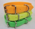 Fluorescent dog collar 3