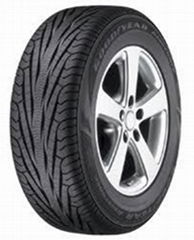 Goodyear Tires EAGLE RS-A2 P245/45R19 VSB