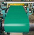 Pre-Painted Galvanized Steel Coil 5