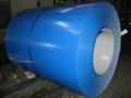 Pre-Painted Galvanized Steel Coil 5