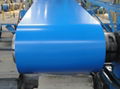 Pre-Painted Galvanized Steel Coil 5