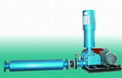 three lobes roots blower/pump