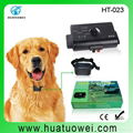 Outdoor inground electric pet dog