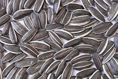 sunflower seeds