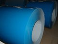 color coated steel coil 1