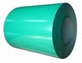 color coated steel coil 5
