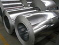 galvanized steel coil