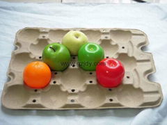 paper pulp tray