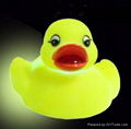 Vinyl Duck