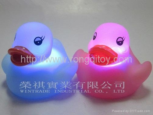 LED duck with light