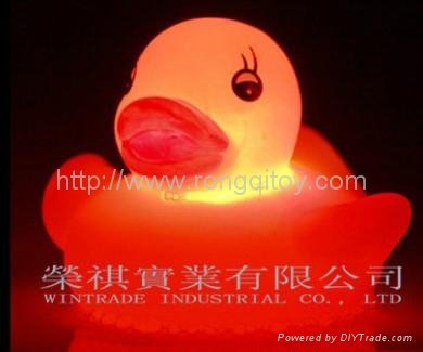 LED duck with light 2