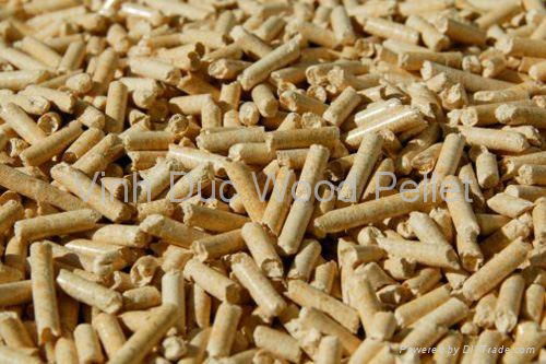 High Quality Wood Pellet 4