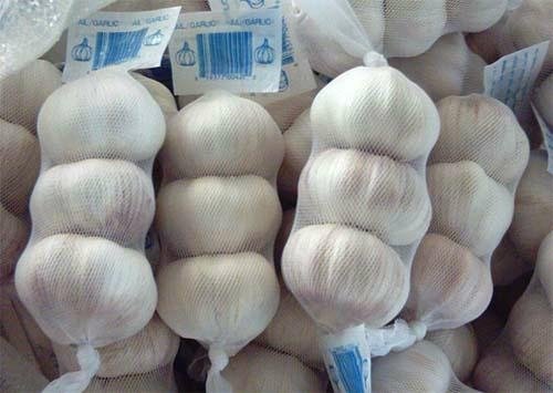 fresh normal white garlic 2