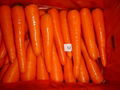 fresh carrot 1