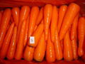 fresh carrot 2