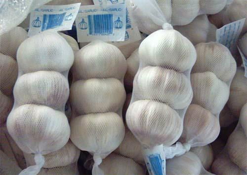 mesh bag packing garlic in selling
