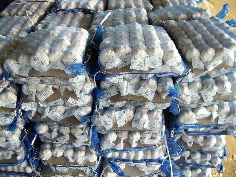 mesh bag packing garlic in selling 3