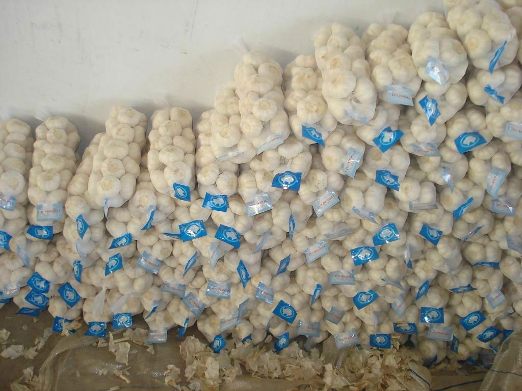 mesh bag packing garlic in selling 5