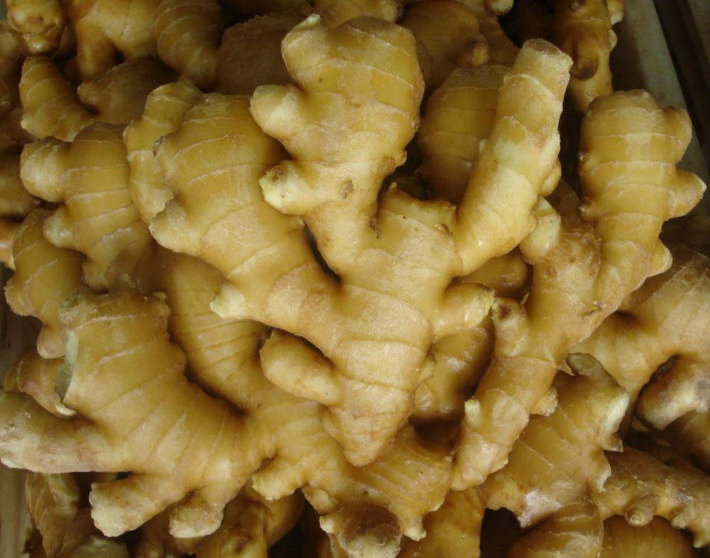 air dry ginger 2