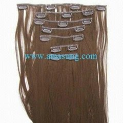 Clip-in Hair Extensions 