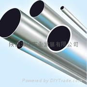 titanium tube/titanium pipe