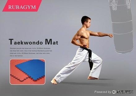 Tatami/mat for martial arts yoga and gym 2